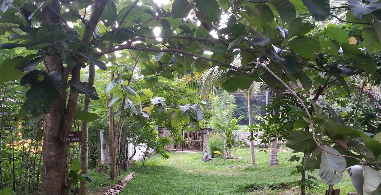 Villa Cinnamon Hills Ґалле Екстер'єр фото
